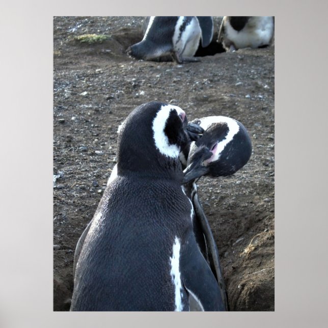 Affiche Préparation des partenaires (Devant)