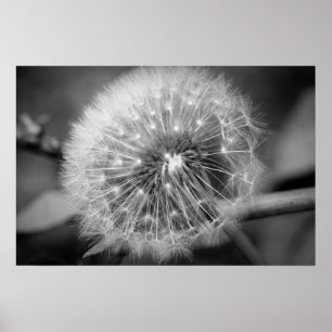 Affiche Préparez pour décollent ! ! !