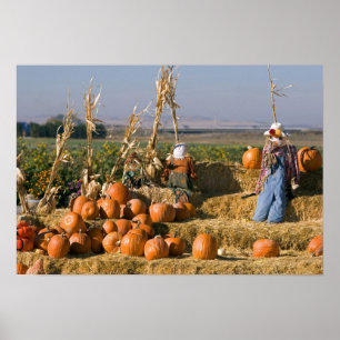 Affiche Présentation de citrouilles avec des bottes de foi