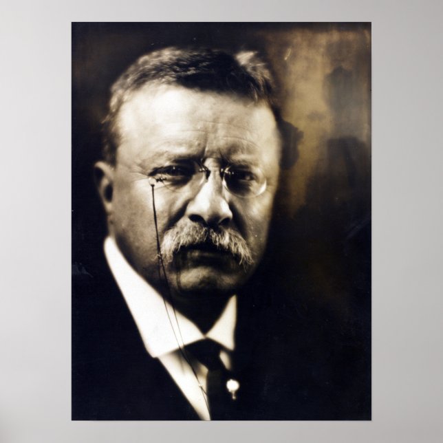 Affiche Président politique vintage Theodore Roosevelt (Devant)
