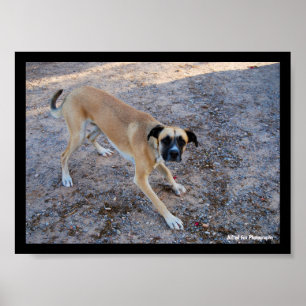 Affiche Prêt à jouer