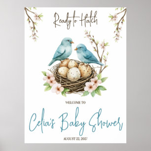 Affiche Prêt pour Hatch ! Baby shower aux oiseaux mignons 
