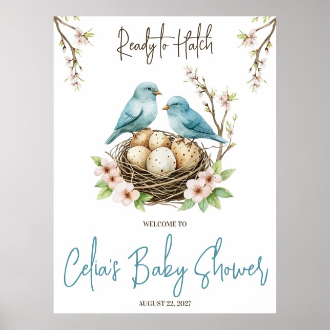 Affiche Prêt pour Hatch ! Baby shower aux oiseaux mignons  (Devant)