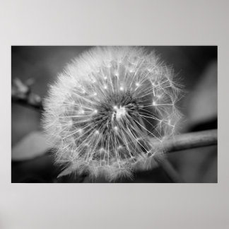 Affiche Prêt pour le décollage ! ! !