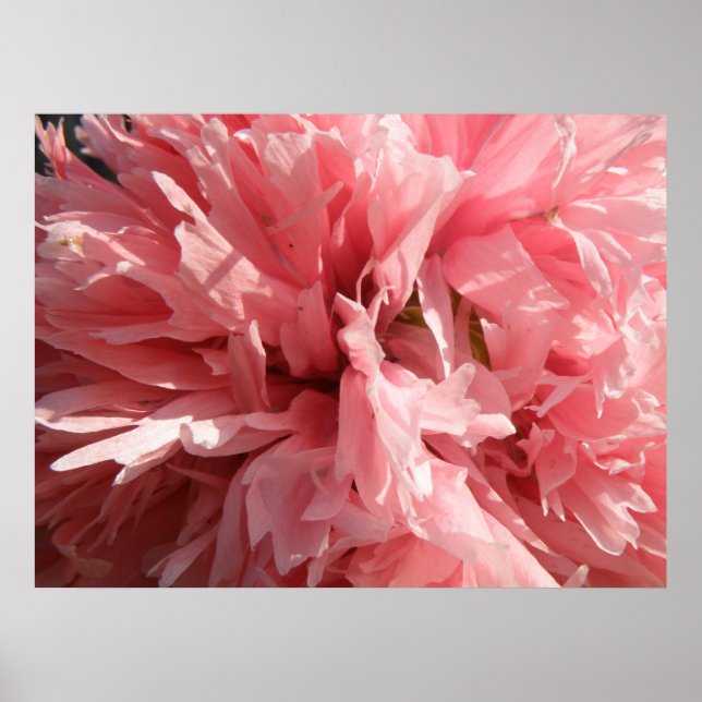 Affiche Pretty Pink Pop Print (Devant)