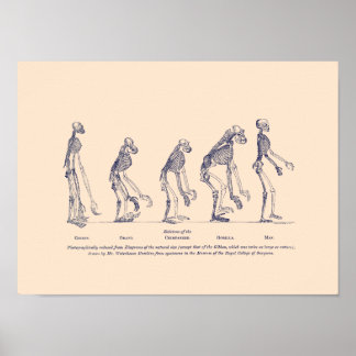 Affiche Preuve de la place de l’homme dans la nature