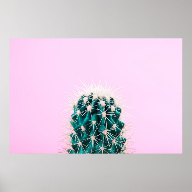 Affiche Prickley Cactus sur rose (Devant)