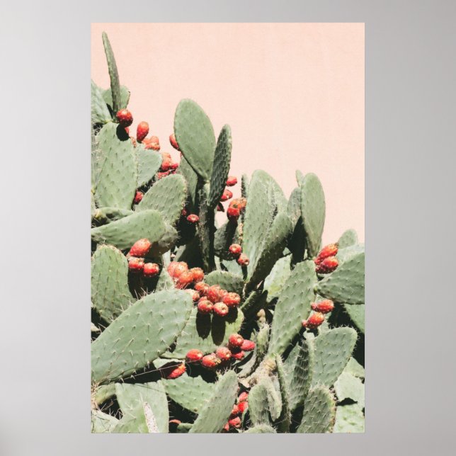 Affiche Prickley Pear Cactus (Devant)