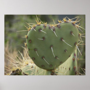 Affiche Prickly Pear Heart