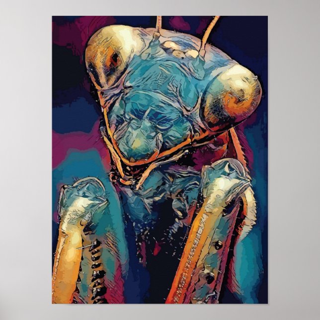 Affiche prier mante mantisinsectes yeuxMantis Orchid Pra (Devant)