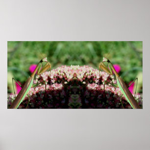 Affiche Prier Mantis Sur Sedum Flower Mirror Abstrait