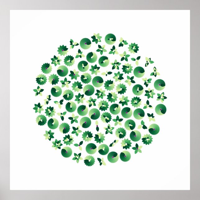 Affiche Primes botaniques (Devant)