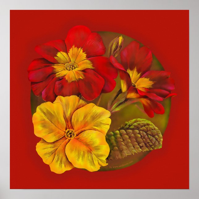 Affiche Primula red jaune fine art par Sarah Trett (Devant)