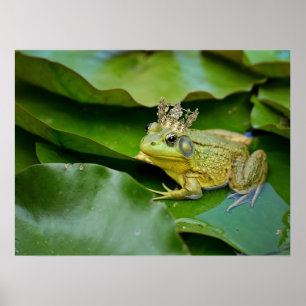 Affiche Prince de grenouille couronné sur Lily Pad