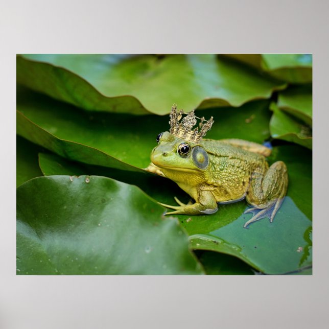 Affiche Prince de grenouille couronné sur Lily Pad (Devant)
