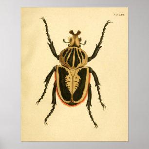 Affiche Prince "Entomologie II"