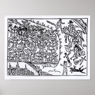 Affiche Prince Rupert Hiding in a Bean