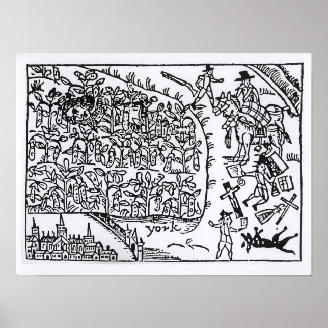 Affiche Prince Rupert  Hiding in a Bean (Devant)