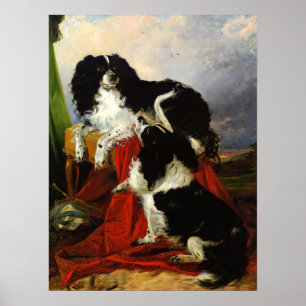 Affiche Print: King Charles Spaniels - Richard Ansdell