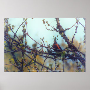 Affiche Printemps