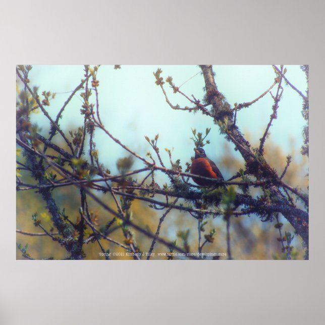 Affiche Printemps (Devant)