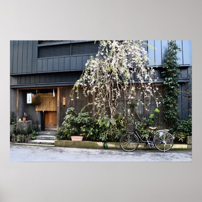 Affiche Printemps à Tokyo (Devant)