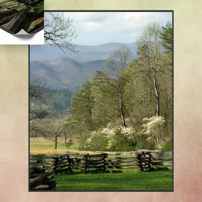 Affiche Printemps au Cabine John Oliver (Créateur téléchargé)