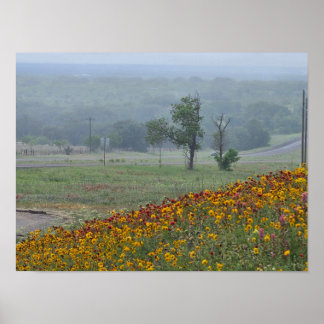 Affiche Printemps au Texas