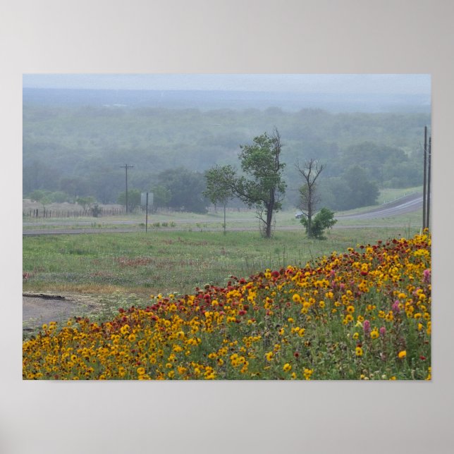 Affiche Printemps au Texas (Devant)