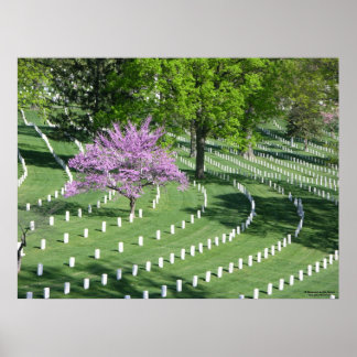 Affiche Printemps dans le cimetière national d'Arlington