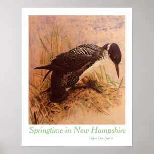 Affiche Printemps dans le New Hampshire par Chloe Dee Nobl