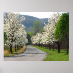 Affiche Printemps dans le pays