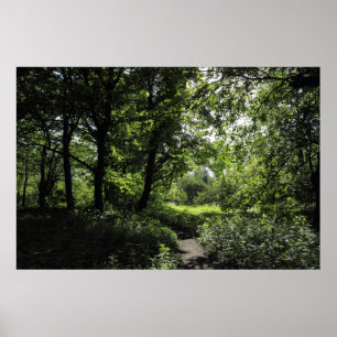 Affiche Printemps dans les bois 03