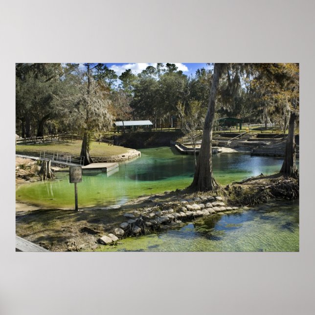 Affiche Printemps en hiver (Devant)