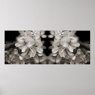 Affiche Printemps Fleurit Noir Et Blanc Miroir Abstrait