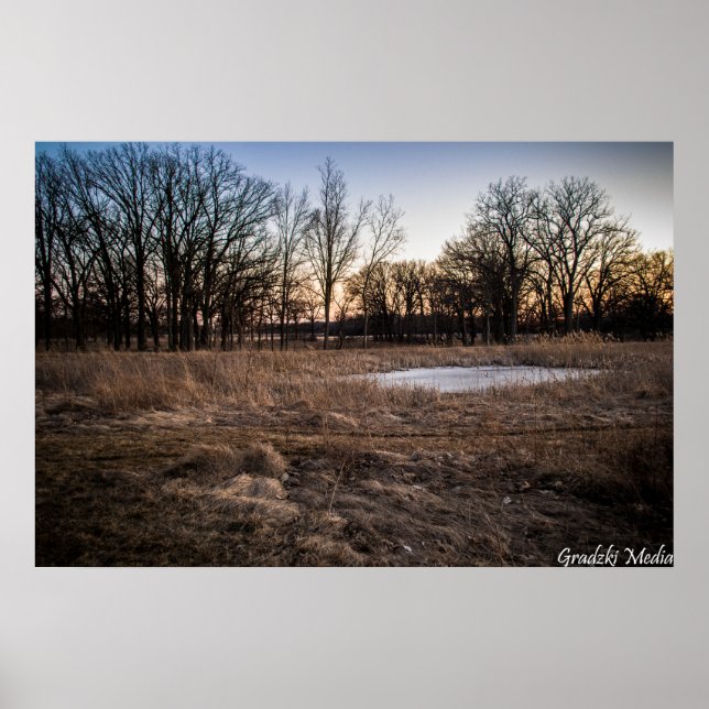 Affiche Printemps Icy (Devant)