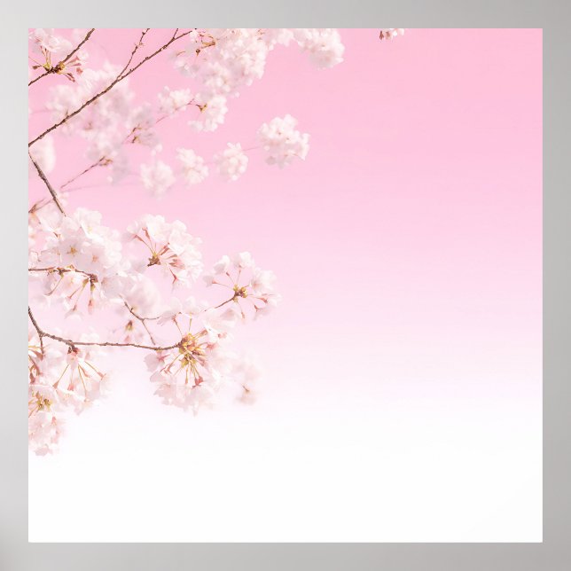 Affiche Printemps Sérénité au Cerisier Rose (Devant)