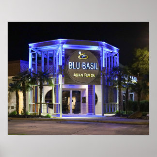 Affiche Prise de vue nocturne de Blu Basil