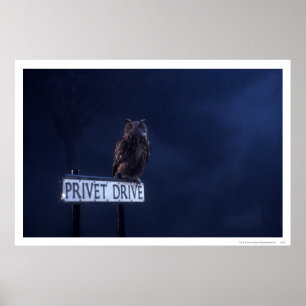 Affiche Privet Drive