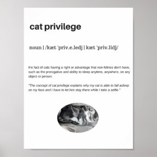 Affiche Privilège de chat citation drôle blanc