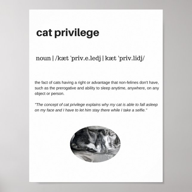 Affiche Privilège de chat citation drôle blanc (Devant)