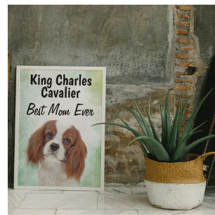 Affiche Prix King Charles Cavalier du meilleur acteur