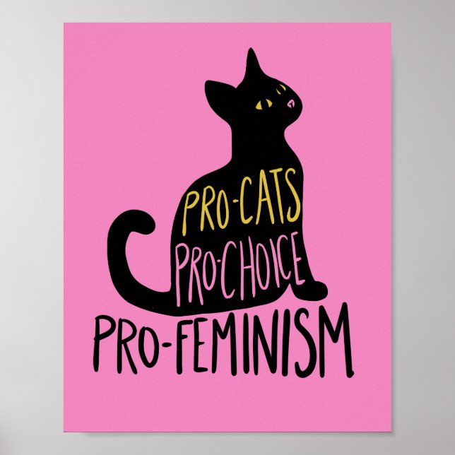 Affiche Pro-chats Pro-choix pro-féminisme (Devant)