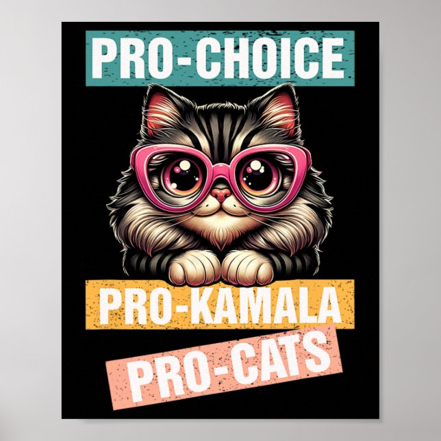 Affiche Pro Choice Pro Kamala Pro Cat Kamala 2024 Pour Pre (Devant)