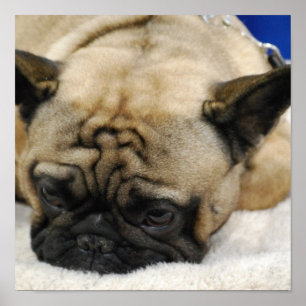 Affiche Produit de personnaliser