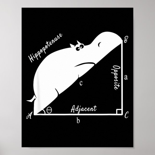 Affiche Prof de maths drôle, Hiptenuse drôle, professeur d (Devant)