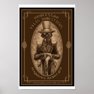 Affiche Professeur Felis DOmesticus