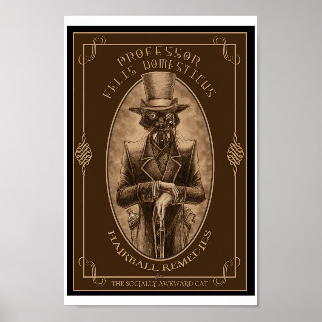 Affiche Professeur Felis DOmesticus (Devant)