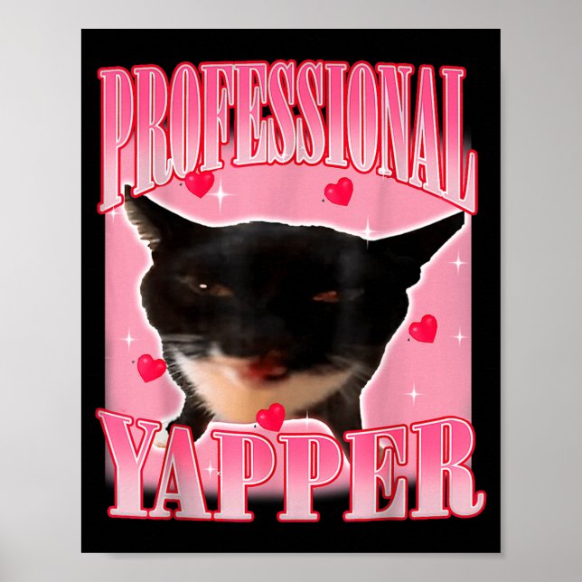 Affiche Professional Yapper Cat Funny Oddly Specific Dank  (Devant)