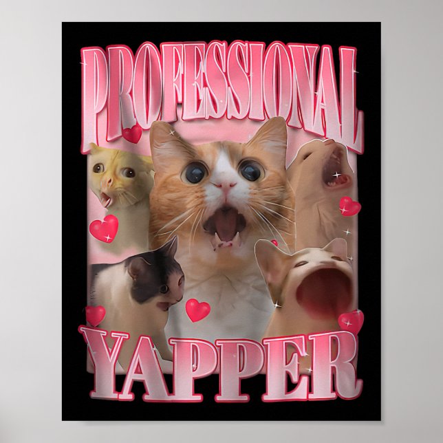 Affiche Professional Yapper Chat Drôle Mème (Devant)